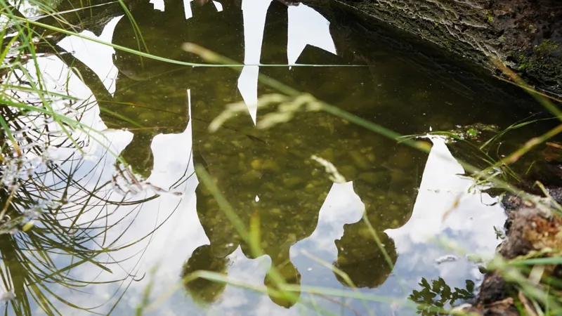 Reflections of Wonder